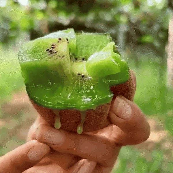 Sadenice slovenského KIWI